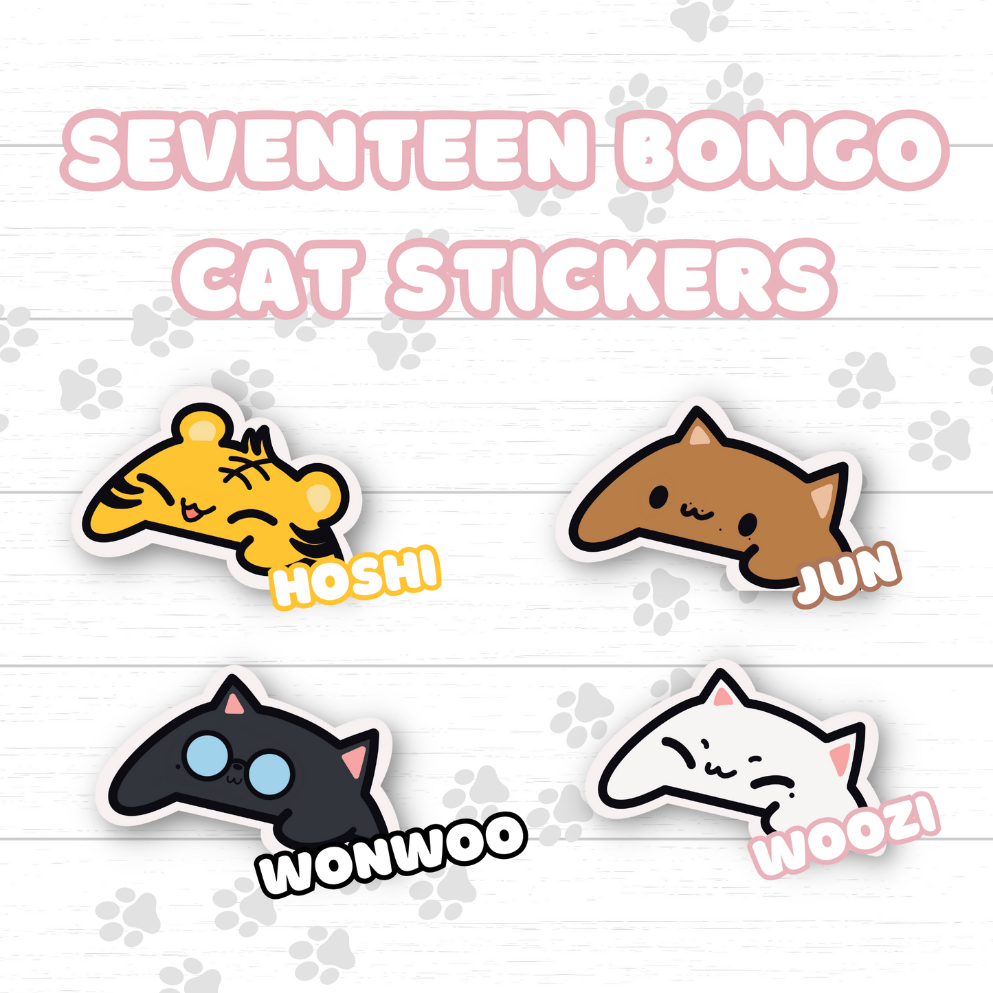 Seventeen Cat Stickers